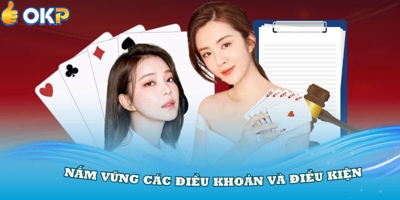 Điều Khoản và Điều Kiện Từ OKP Với Tầm Quan Trọng